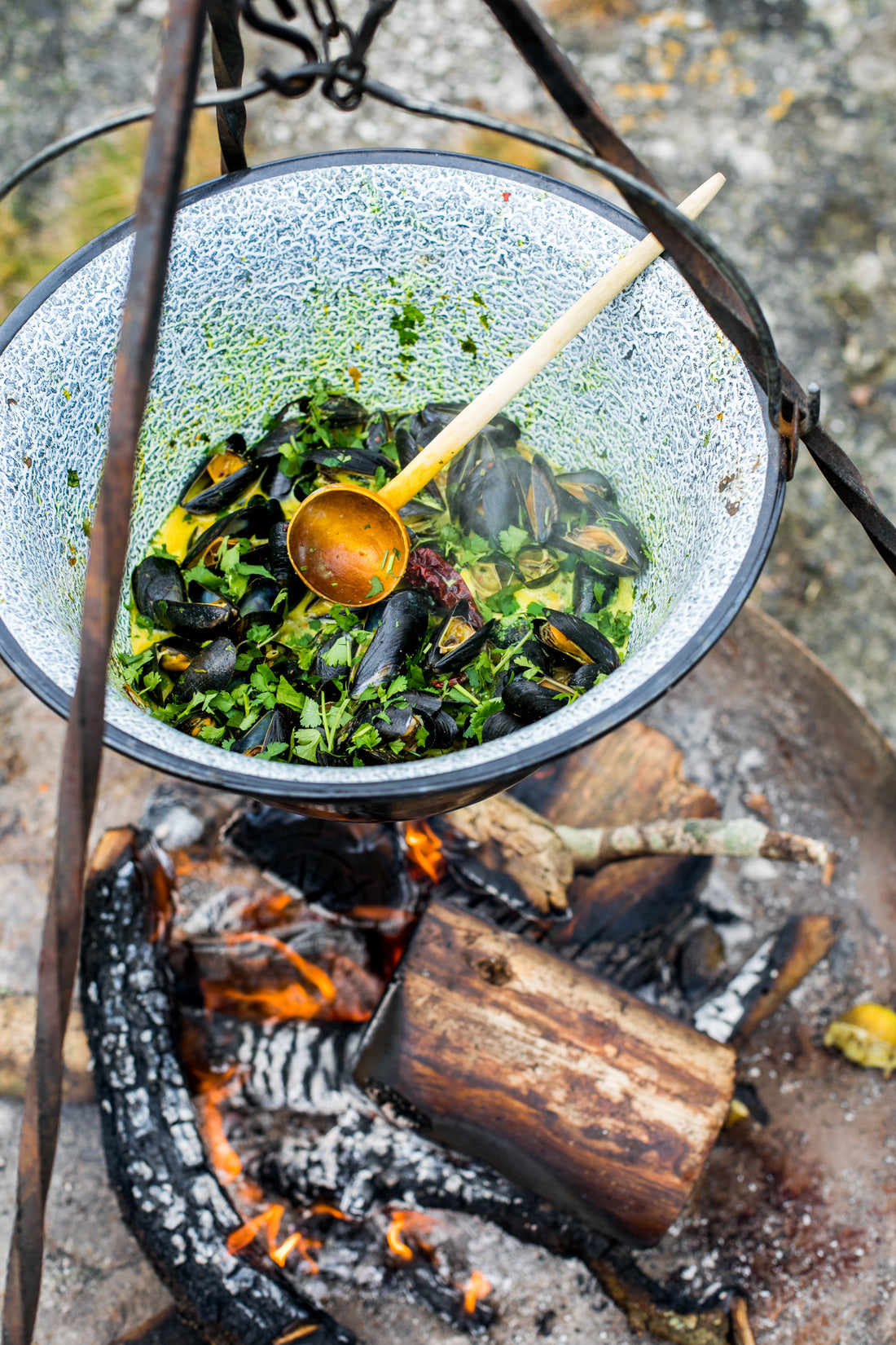 Spiced Coconut Mussels