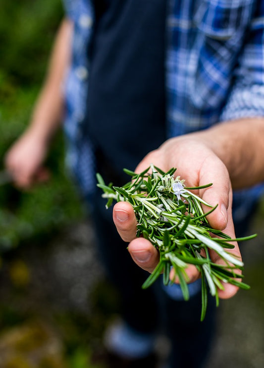 A spot of seaside foraging